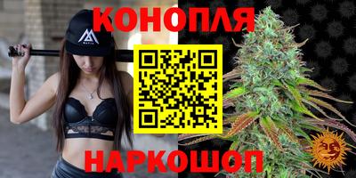 тгк Будённовск