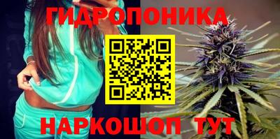 тгк Будённовск
