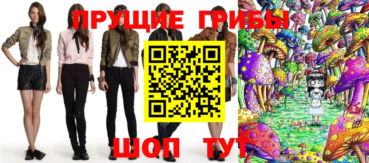 Галлюциногенные грибы прущие грибы  Вход с VPN  Сергиев Посад 